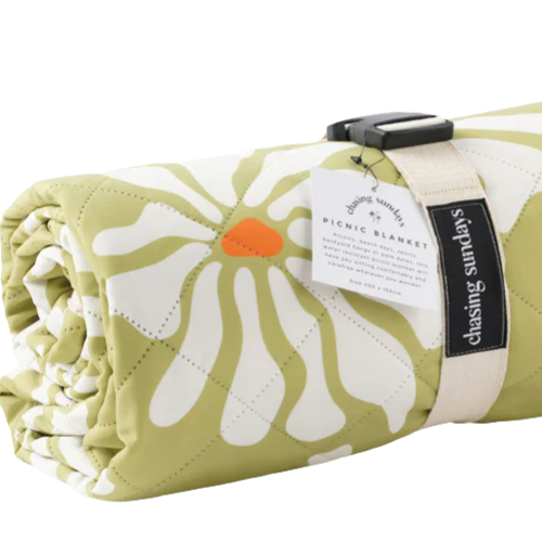picnic blanket - chasing Sundays