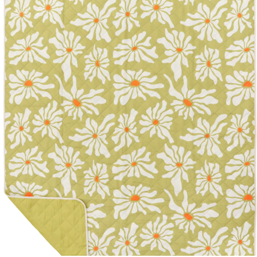 picnic blanket  Dayse- chasing Sundays