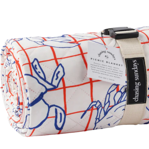 picnic blanket  euro summer- chasing Sundays