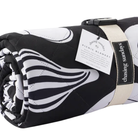 picnic blanket  seashells- chasing Sundays