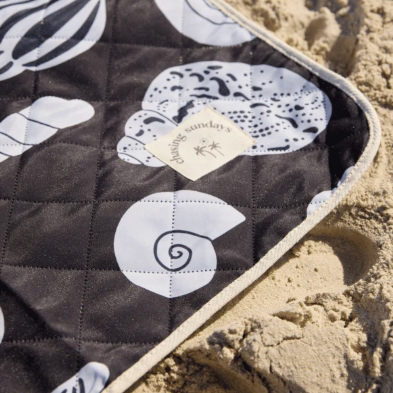 picnic blanket seashells - chasing Sundays