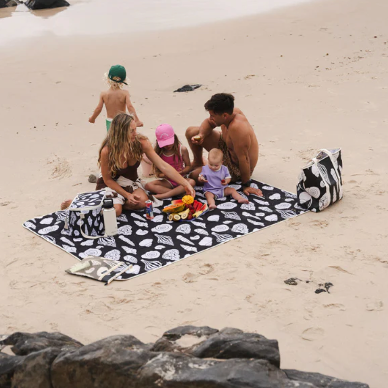picnic blanket seashells- chasing Sundays