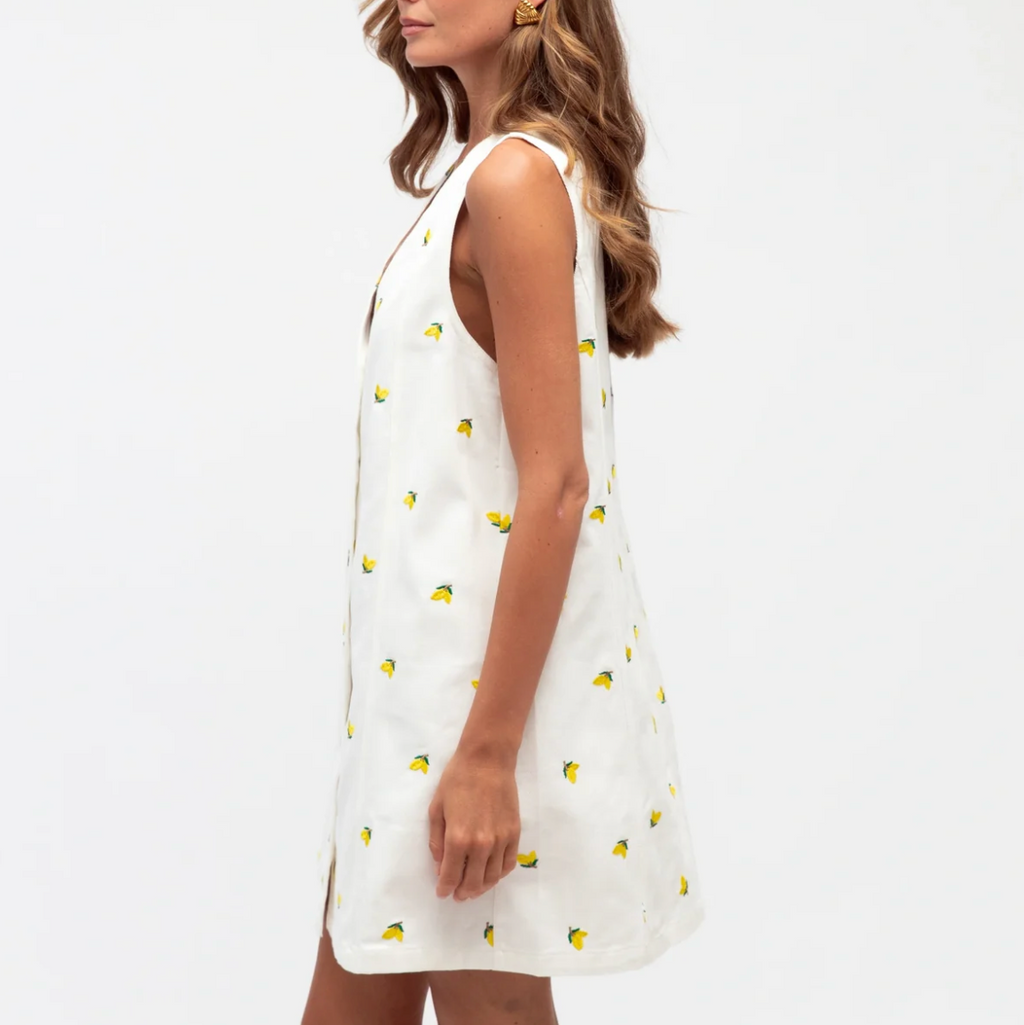 LEMON EMBROIDERY DRESS
 - Paperheart