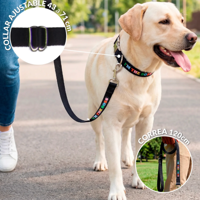 im the boss lead/collar - fisura